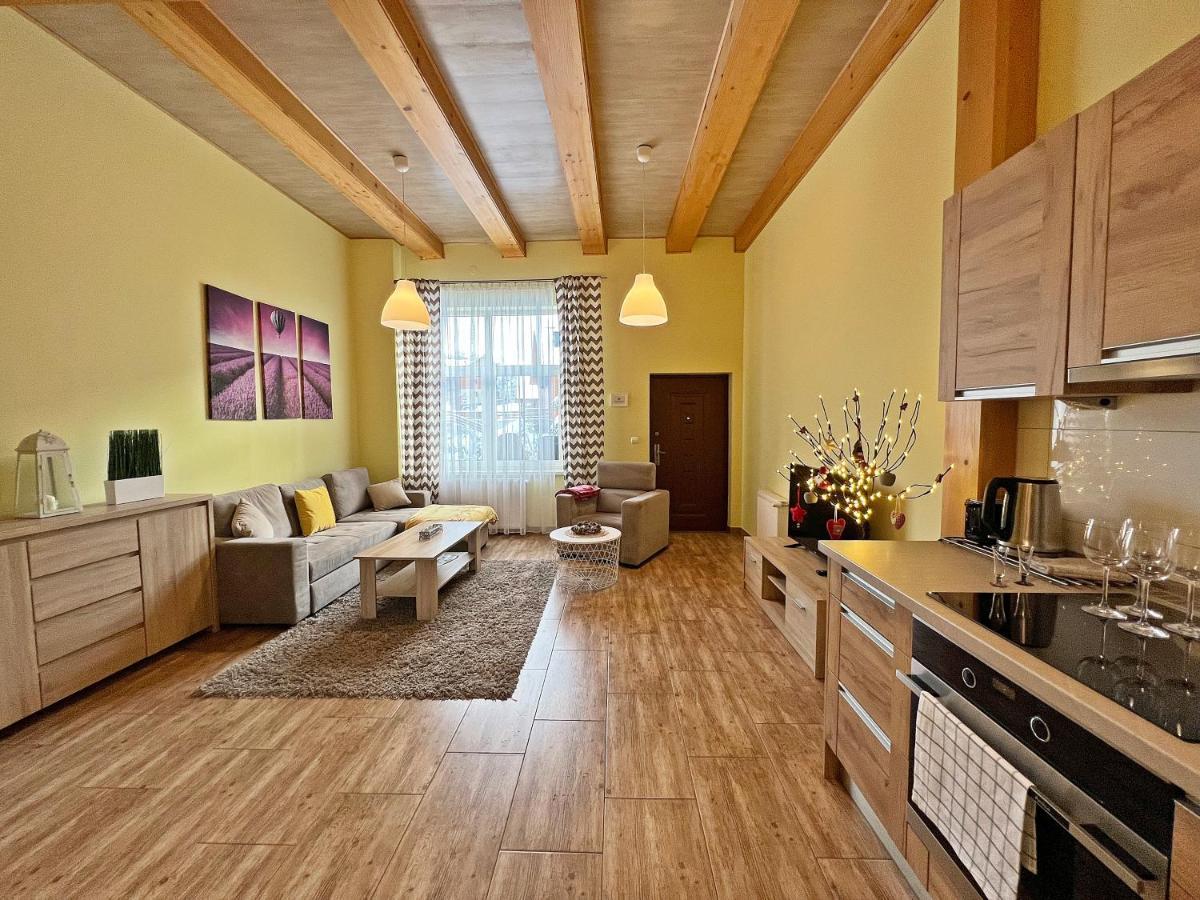 Apartamenty Mountain View - Bezplatny Parking Krynica Zdroj Exterior photo